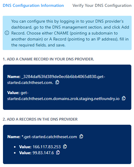 Custom frontend DNS info